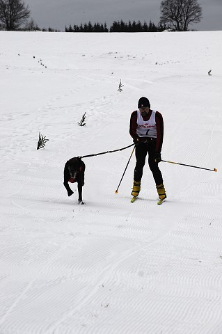Kynologická revue - www.dogsk.sk