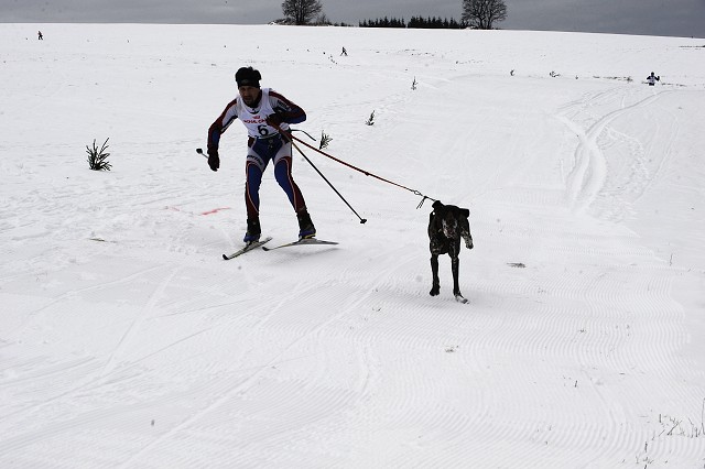 Kynologická revue - www.dogsk.sk
