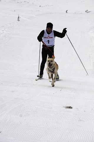 Kynologická revue - www.dogsk.sk