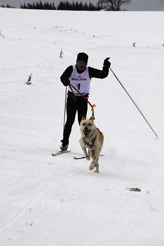 Kynologická revue - www.dogsk.sk