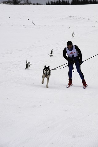 Kynologická revue - www.dogsk.sk