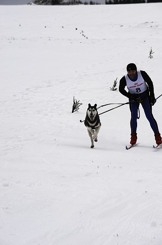 Kynologická revue - www.dogsk.sk