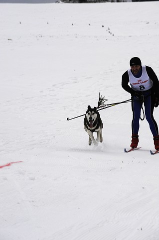 Kynologická revue - www.dogsk.sk