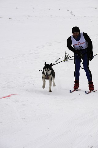 Kynologická revue - www.dogsk.sk
