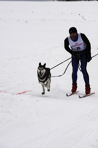Kynologická revue - www.dogsk.sk