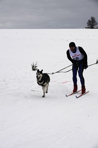 Kynologická revue - www.dogsk.sk
