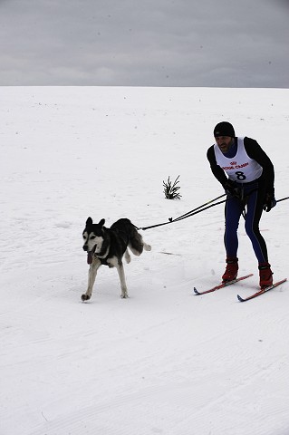Kynologická revue - www.dogsk.sk