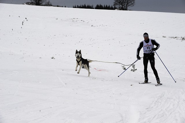 Kynologická revue - www.dogsk.sk