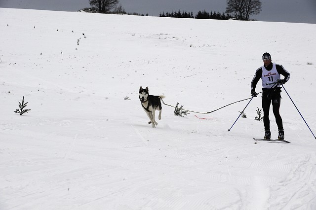 Kynologická revue - www.dogsk.sk