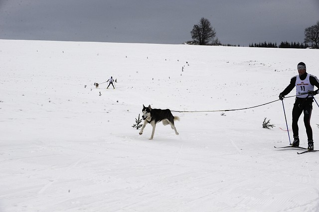 Kynologická revue - www.dogsk.sk