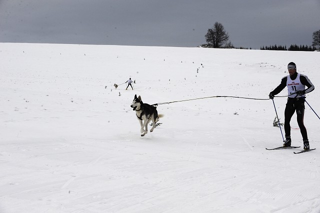 Kynologická revue - www.dogsk.sk