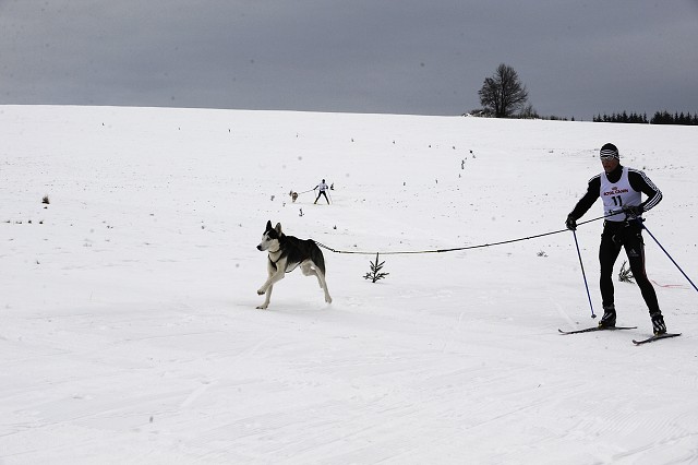 Kynologická revue - www.dogsk.sk