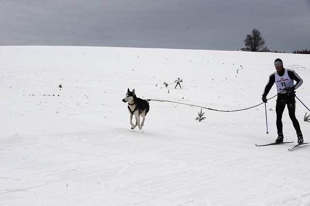 Kynologická revue - www.dogsk.sk
