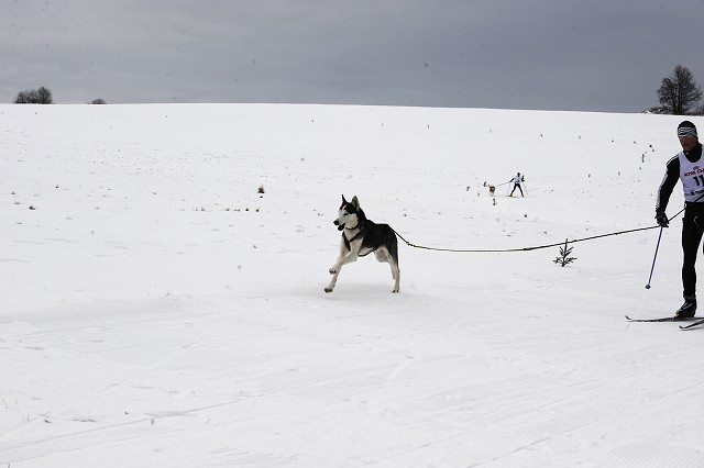 Kynologická revue - www.dogsk.sk