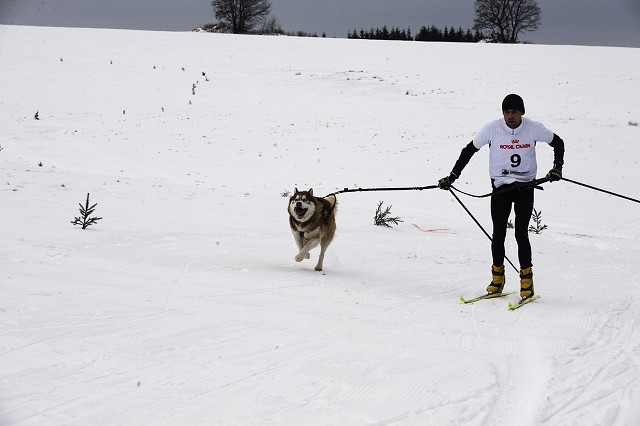 Kynologická revue - www.dogsk.sk