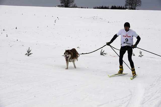Kynologická revue - www.dogsk.sk