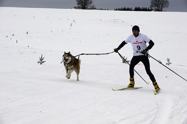 Kynologická revue - www.dogsk.sk