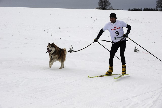 Kynologická revue - www.dogsk.sk