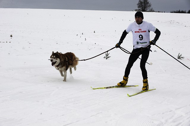 Kynologická revue - www.dogsk.sk