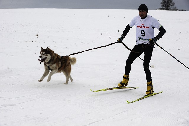 Kynologická revue - www.dogsk.sk