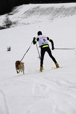 Kynologická revue - www.dogsk.sk