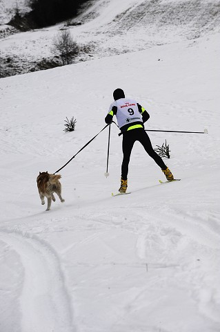 Kynologická revue - www.dogsk.sk