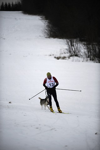 Kynologická revue - www.dogsk.sk
