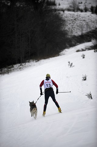 Kynologická revue - www.dogsk.sk