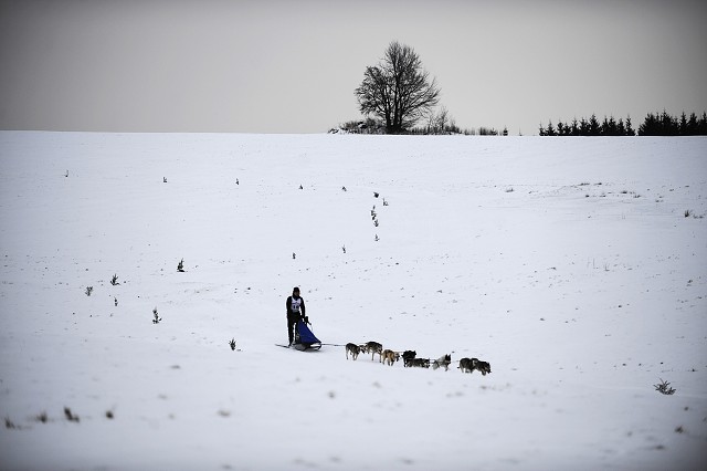 Kynologická revue - www.dogsk.sk