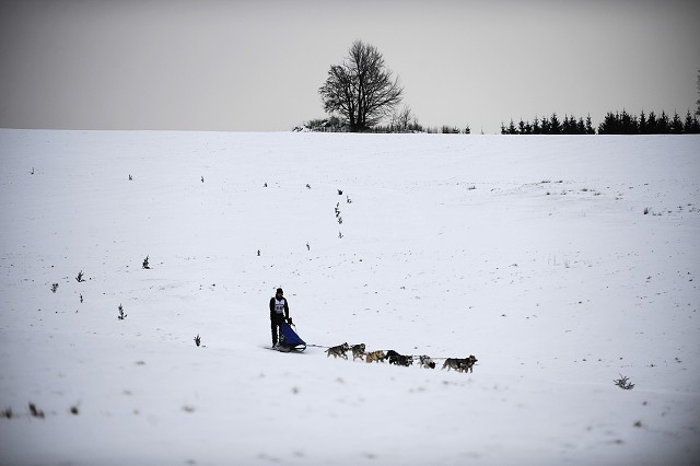 Kynologická revue - www.dogsk.sk