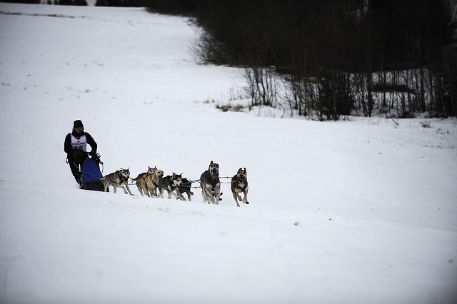 Kynologická revue - www.dogsk.sk