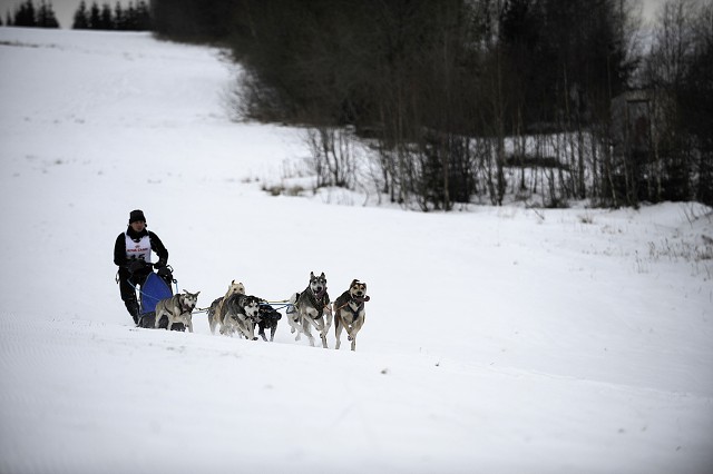 Kynologická revue - www.dogsk.sk