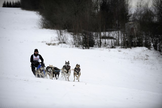 Kynologická revue - www.dogsk.sk