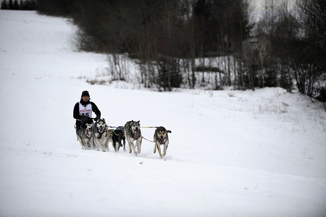 Kynologická revue - www.dogsk.sk