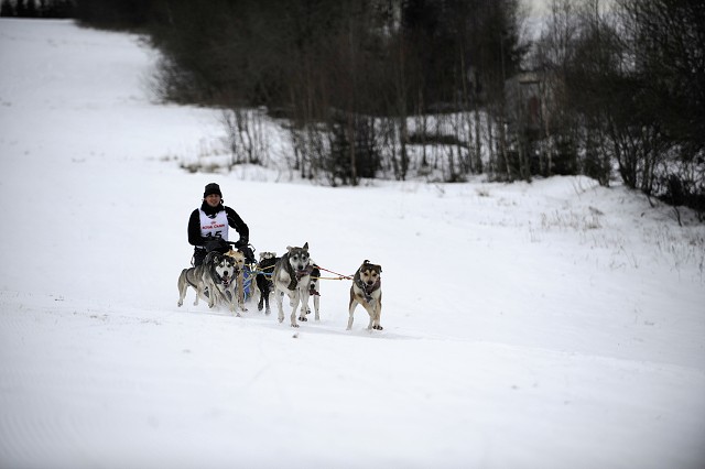 Kynologická revue - www.dogsk.sk