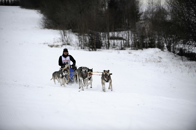 Kynologická revue - www.dogsk.sk