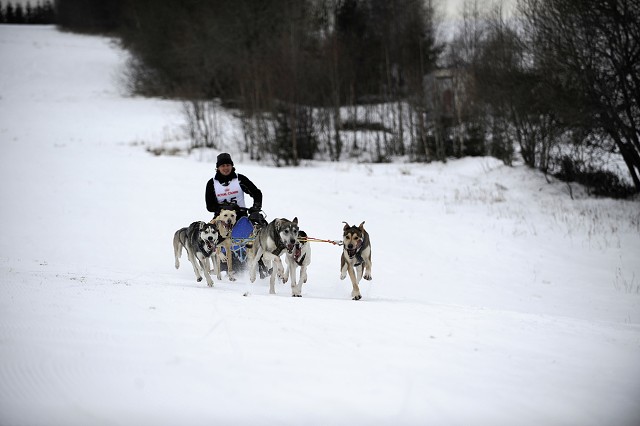 Kynologická revue - www.dogsk.sk