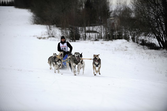 Kynologická revue - www.dogsk.sk