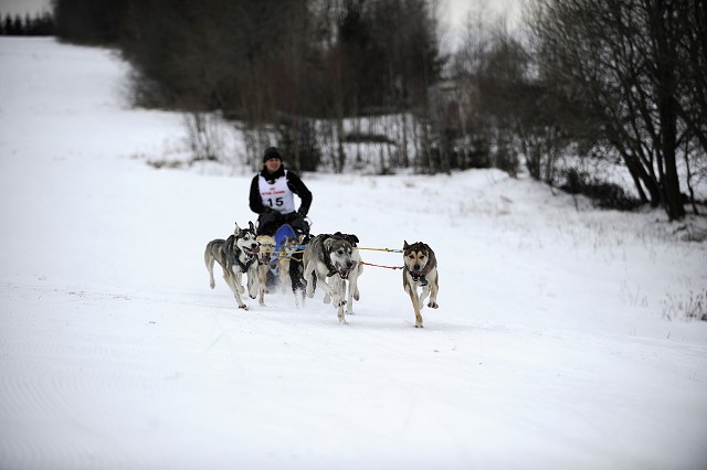 Kynologická revue - www.dogsk.sk