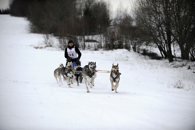 Kynologická revue - www.dogsk.sk