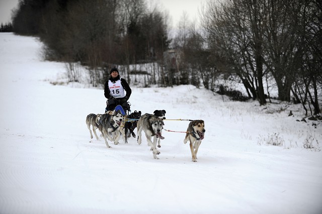 Kynologická revue - www.dogsk.sk