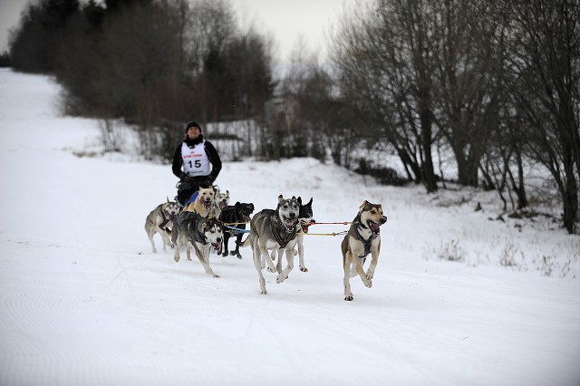 Kynologická revue - www.dogsk.sk