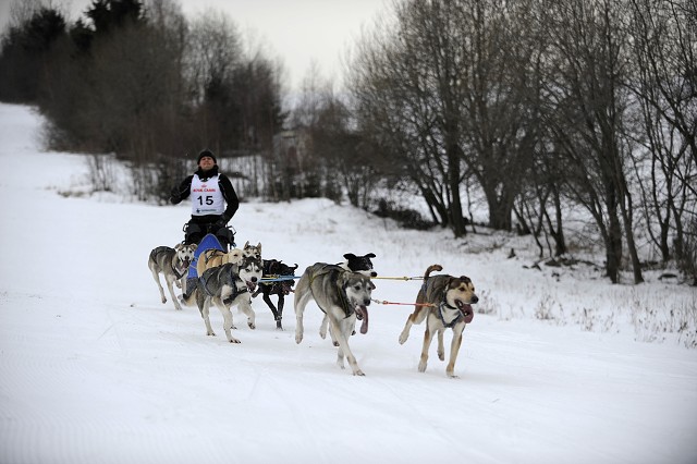 Kynologická revue - www.dogsk.sk