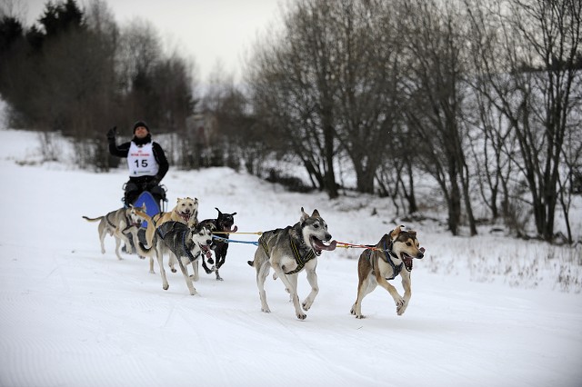 Kynologická revue - www.dogsk.sk