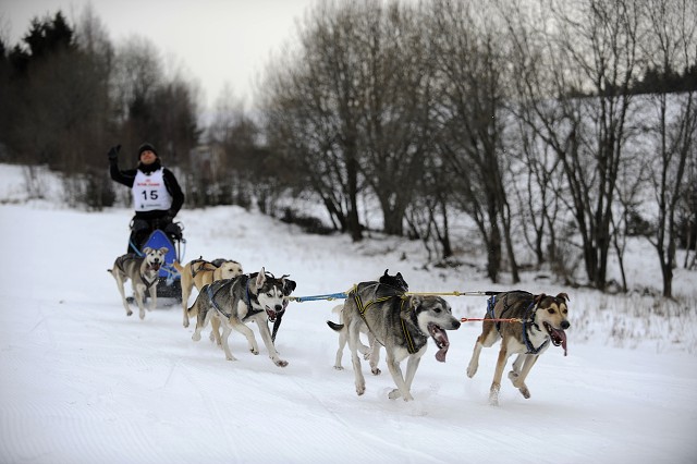 Kynologická revue - www.dogsk.sk
