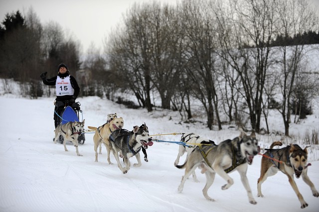 Kynologická revue - www.dogsk.sk