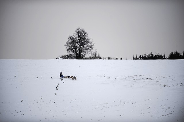 Kynologická revue - www.dogsk.sk