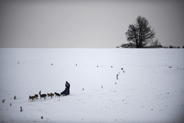 Kynologická revue - www.dogsk.sk
