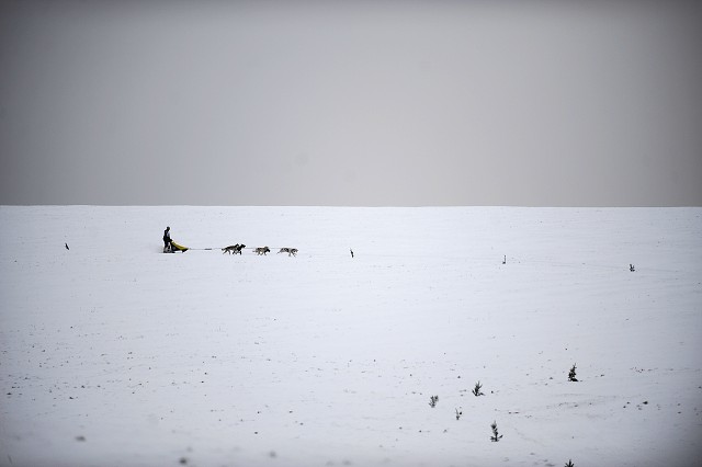 Kynologická revue - www.dogsk.sk