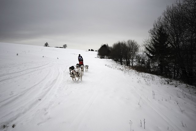 Kynologická revue - www.dogsk.sk